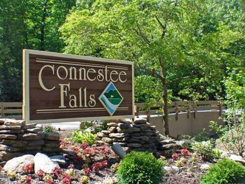 New Listing! Updated Home With Fireplace & Pool Home