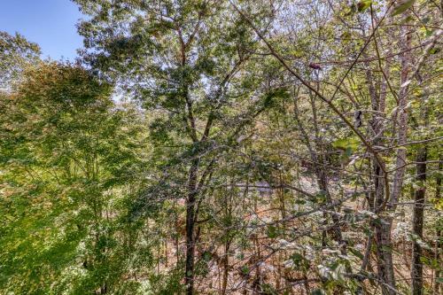 The Branches 14