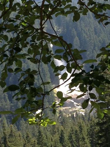 Hotel Garni H�ttl Bernd