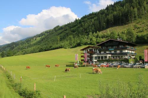 Hotel Landhaus Rohregger