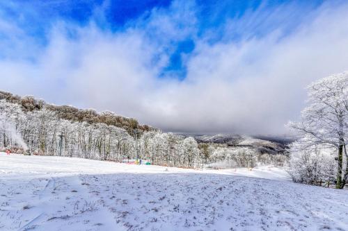 Snowlake D-22