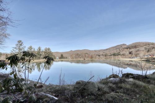Snowlake D-22