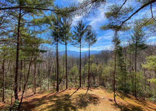 Custom-built Mountain Retreat - 3 Acres & Hot Tub Home