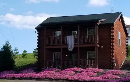 Bed & Breakfast Amish Blessings Cabins