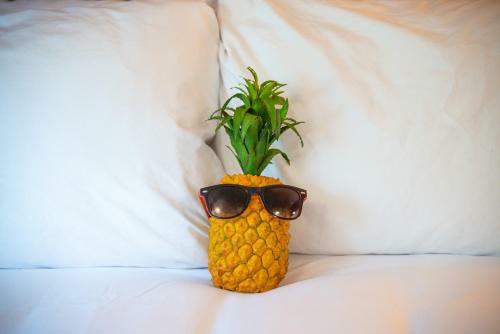 My Place Hotel-marion, Oh