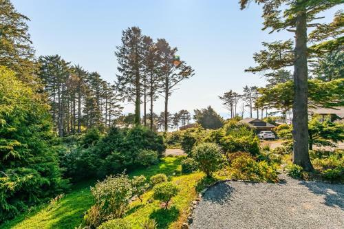 Cove Beach Forest Splendor