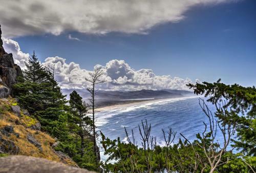 Oceanfront Escape With Pacific Views Surf And Explore