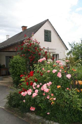 Hostal G�stehaus Dobida