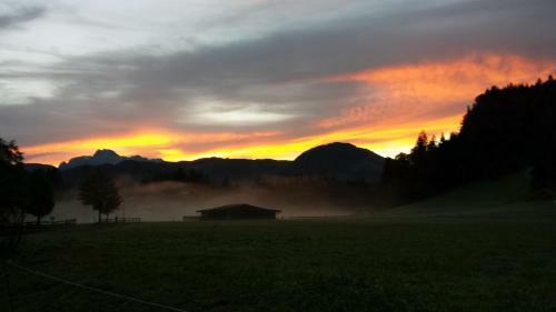 Bed & Breakfast Pension Wildental
