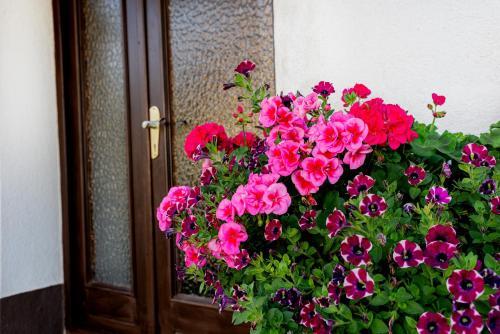 Apartamento Ferienwohnungen Brandnerhof