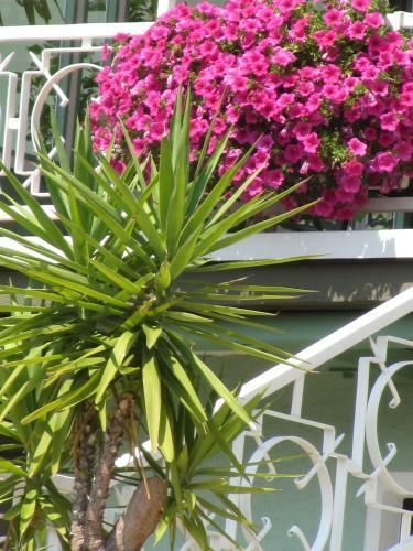 Hotel Haus Esplanade - Adults Only