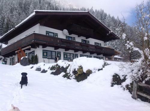 Apartamento Ferienwohnung Freudenmacher