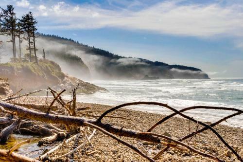 Netarts Bay Overlook