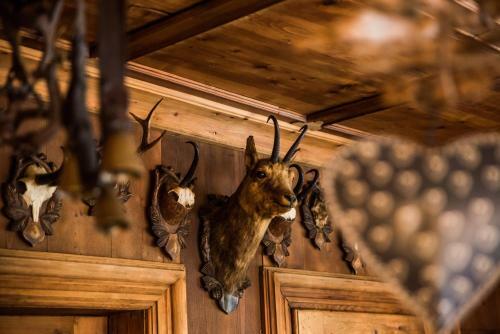 Hostal Gasthof Stern