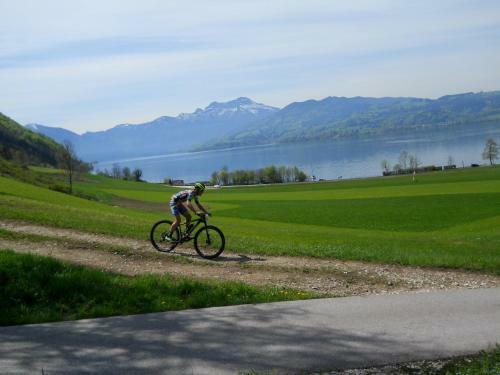 Gasthof-hotel Bramosen