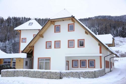 Apartamento Appartementhaus Hochegg