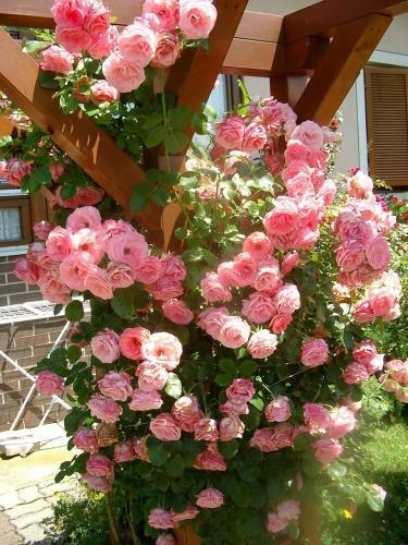 Hostal G�stehaus Kristall - Familie Gangl