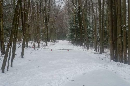 Blakeslee Round Home With Deck About 3 Mi To Big Boulder