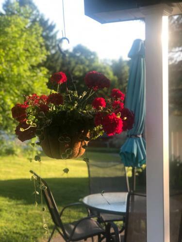 Bed & Breakfast Ottaway Inn Llc