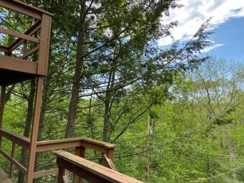 Saw Creek Cabin - Regent Hilltop