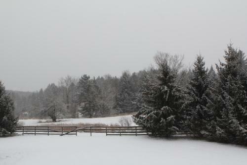 Lodge Equestrian House: Suites