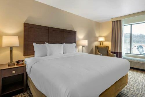 Hotel Comfort Inn & Suites Pittsburgh-northshore