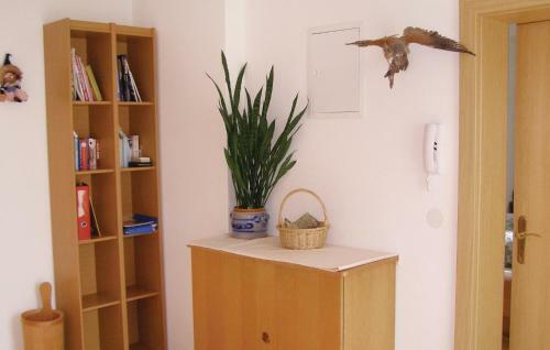Apartment Trins