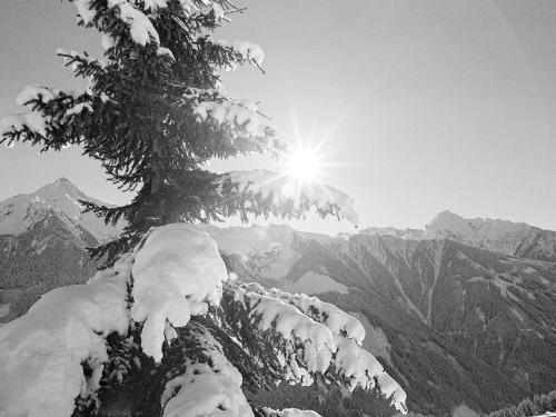 Apartamento Appartements Alpenrose