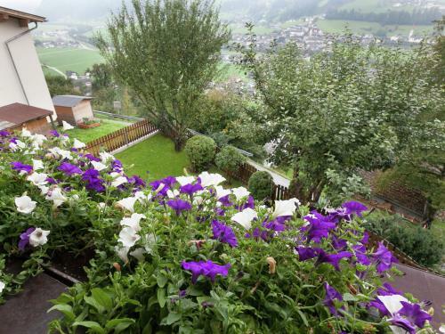 Apartamento Ahornblick