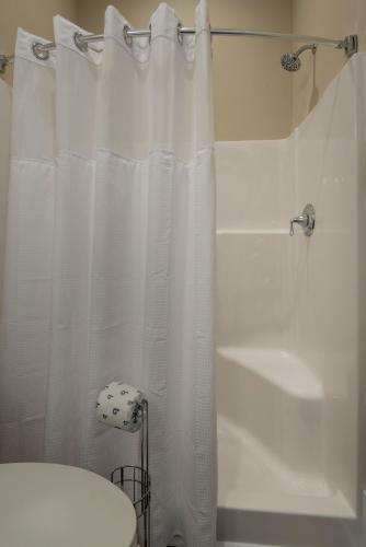 207 E Arctic - Seahorsing Around - Oceanfront - 3 Bedrooms