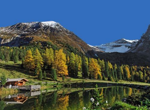Apartamento Haus Alpenfriede