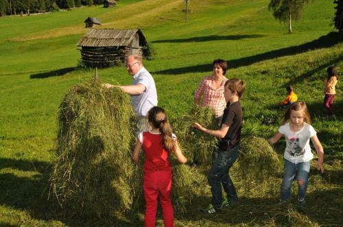 Agroturismo Tobadillerhof