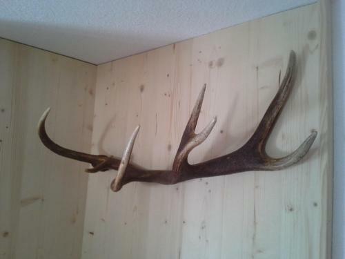 Apartamento Haus Elfriede