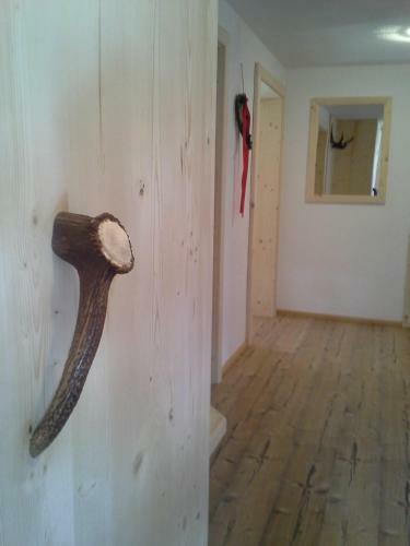 Apartamento Haus Elfriede