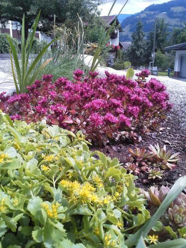 Apartamento Haus Elfriede