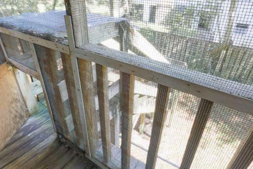 Decked Out