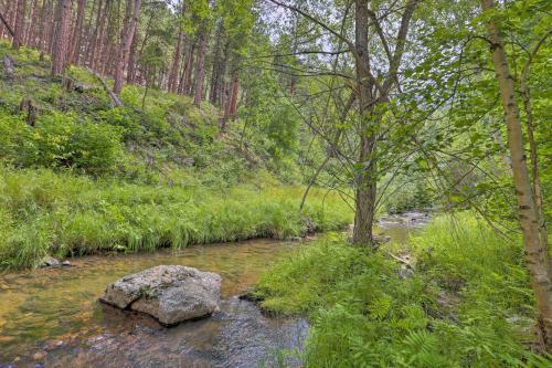Historic Grizzly Gulch Cabin Near Mt Rushmore!