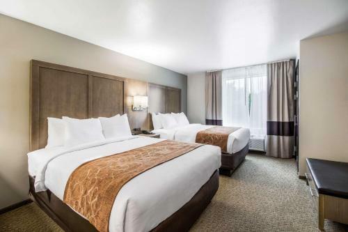 Hotel Comfort Suites