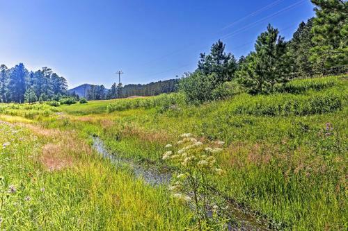 Cozy Black Hills Cabin By Hiking And Atv Trails!
