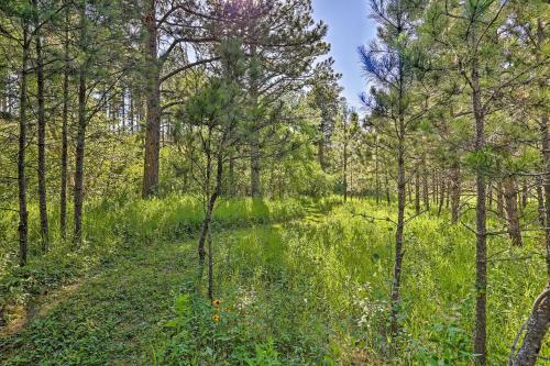 Cozy Black Hills Cabin By Hiking And Atv Trails!