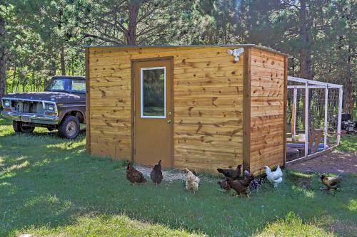 Cozy Black Hills Cabin By Hiking And Atv Trails!