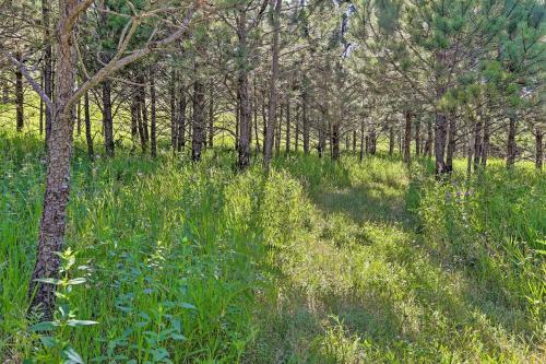 Cozy Black Hills Cabin By Hiking And Atv Trails!