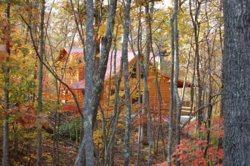 Country Dreams- Mtn View Near Ocoee River