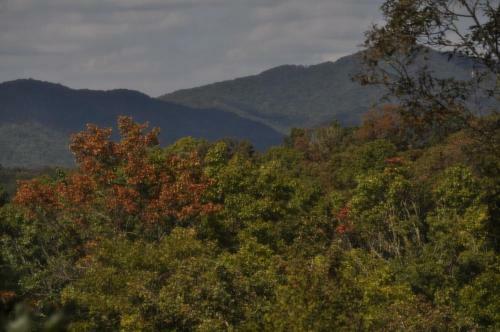 Treetops- Mtn View Cabin Near Ocoee River