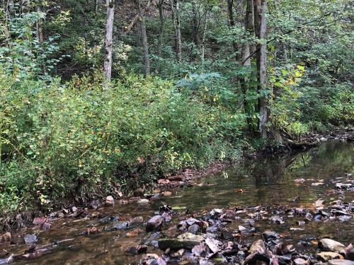 Tentrr Signature Site - The Rest On Dobbins Creek