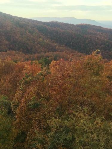 Apartamento Gatlinburg Mountain Condo