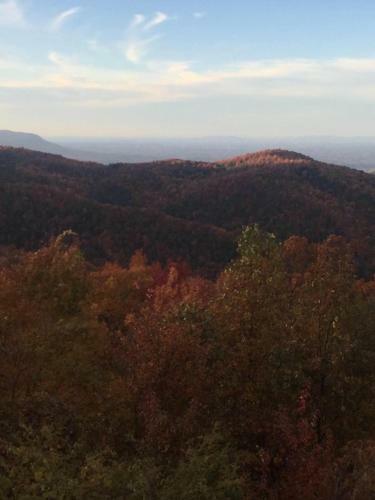 Apartamento Gatlinburg Mountain Condo
