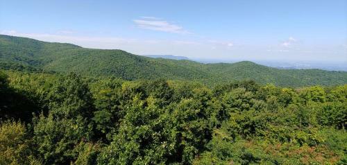 Apartamento Gatlinburg Mountain Condo