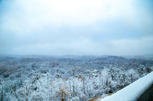 Leconte Mountain Breeze
