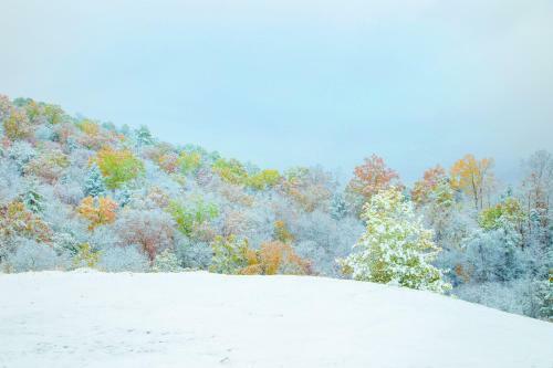 Leconte Mountain Breeze
